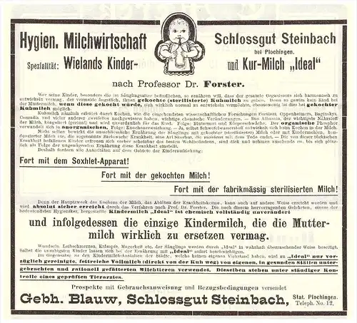 original Werbung - 1904 , Schloss Steinbach b. Plochingen , Lohr a. Main , G. Blauw , Arzt , Krankenhaus , Apotheke !!!