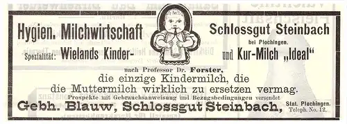 original Werbung - 1904 , Schloss Steinbach b. Plochingen , Lohr a. Main , G. Blauw , Arzt , Krankenhaus , Apotheke !!!