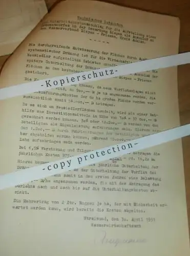 alte Dokumente - Liepen - Priemen / Neetzow in Mecklenburg , 1951 , mit Karte , Anklam !!!