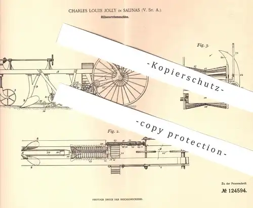 original Patent - Charles Louis Jolly , Salinas , USA , 1900 , Rübenerntemaschine | Rüben - Erntemaschine | Zucker !!!