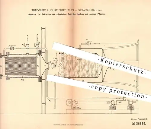 original Patent - Théophile Aug. Breithaupt , Strassburg Elsass , 1886 , Extraktion der Öle von Hopfen u. Pflanzen !!!