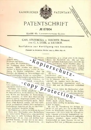 original Patent - Carl Strzemcka , Teschen , Böhmen , G. A. Loibl , Ratibor , 1892, Vertilgung von Insekten , Ungeziefer