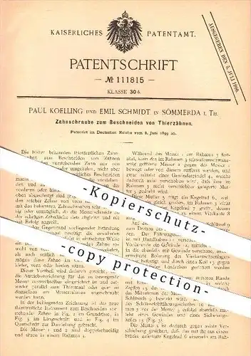 original Patent - Paul Koelling u. Emil Schmidt , Sömmerda , 1899 , Zahnschraube zum Beschneiden von Tierzähnen , Tiere