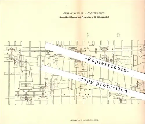 original Patent - Gustav Naegler in Oschersleben , 1877 , Diffusions- u. Pressverfahren für Rüben , Zuckerrüben , Zucker