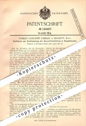 Original Patent - Robert L. Gamlen in Bromley , Kent , 1901 , Proceedings against scaling in boilers , London !!!