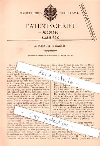 Original Patent - A. Pferdriel à Nantes , 1901 , asperges de coupe !!!