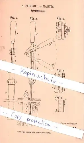 Original Patent - A. Pferdriel à Nantes , 1901 , asperges de coupe !!!