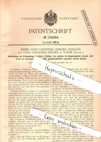 Original Patent - Jesper Oldager und Niels Nielsen in Varde , Dänemark , 1901 , Entkupplung von Vieh , Tierzucht !!!