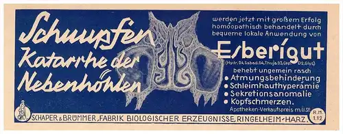 original Werbung - 1938 - ESBERIGUT , Ringelheim i. Harz , Arzt , Apotheke , Salzgitter !!