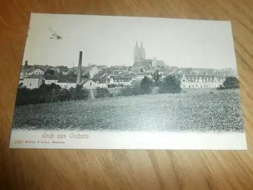Gruss aus Oschatz , ca. 1905 , Ansichtskarte , Postkarte !!!