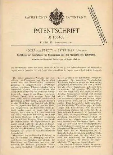 Original Patentschrift - A. von Feszty in Esterhaza , Ungarn , 1898 , Papier aus Wurzelfilz von Schilf !!!