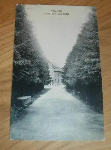 AK  - Neustettin , 1918 , Tannenallee am Schloss , Ansichtskarte , Postkarte !!! Szczecinek