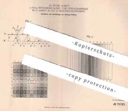 original Patent - Kunst- & Verlagsanstalt Dr. Eugen Albert & Co. München | 1893 | Autotyp-Platten | Photography