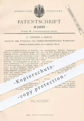 original Patent - O. Thümmel , Berlin , 1882 , Trocknen von Kartoffeln , Rüben , Getreide | Landwirtschaft , Drainage !!