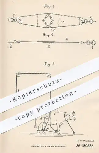 original Patent - Hugo Silberbach , Köln , 1906 , Niederlegen von Schlachtvieh | Schlachter , Tierarzt , Tierzucht !!!