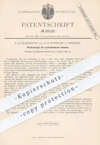 original Patent - F. G. Kleinstück u. F. R. Nitzsche , Dresden , 1884 , Pferdestriegel mit wechselbarem Kamm | Pferde !