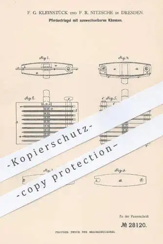 original Patent - F. G. Kleinstück u. F. R. Nitzsche , Dresden , 1884 , Pferdestriegel mit wechselbarem Kamm | Pferde !