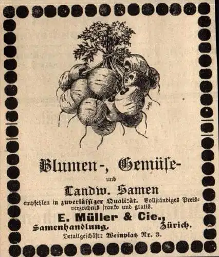 original Werbung - 1911 -  E. Müller & Cie in Zürich , Samenhandlung , Pflanzenhof , Gärtnerei , Samen , Garten !!!