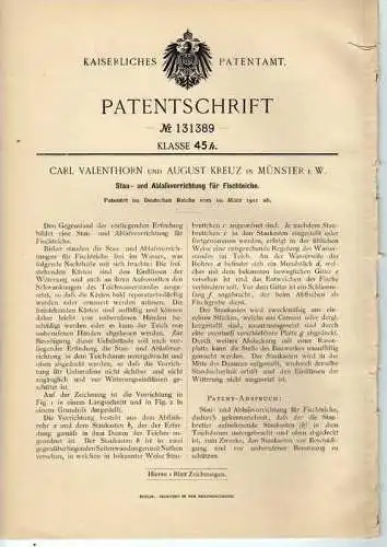 Original Patentschrift - A. Kreuz in Münster i.W. ,1901 , Fischteich Stauanlage , Fisch , Angeln , Fischzucht !!!