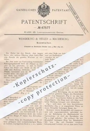 original Patent - Wehdeking & Heller , Magdeburg , 1892 , Baumhalter | Pflanzenhalter , Garten , Gärtner , Baumpflege !!