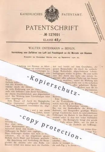 original Patent - Walter Ostermann , Berlin 1900 , Pflege der Straßenbäume | Baum , Bäume | Gärtnerei | Wasser Drainage