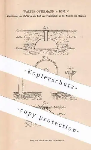 original Patent - Walter Ostermann , Berlin 1900 , Pflege der Straßenbäume | Baum , Bäume | Gärtnerei | Wasser Drainage