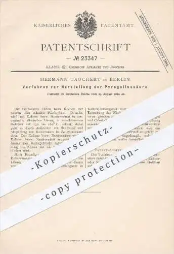 original Patent - Hermann Tauchert , Berlin , 1882 , Herstellung der Pyrogallussäure | Säure , Chemie , Chemiker !!!