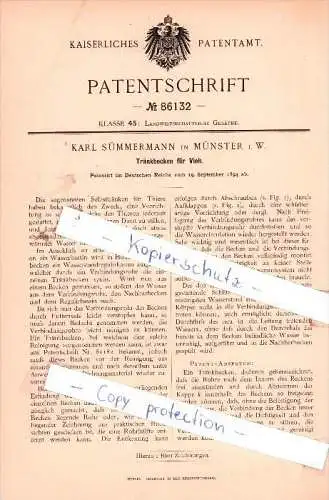 Original Patent - Karl Sündermann in Münster i. W. , 1894 , Tränkbecken für Vieh !!!