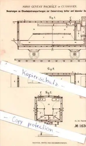 Original Patent -  Arno Gustav Pachaly in Cuxhaven , 1881 , Eisenbahntransportwagen !!!