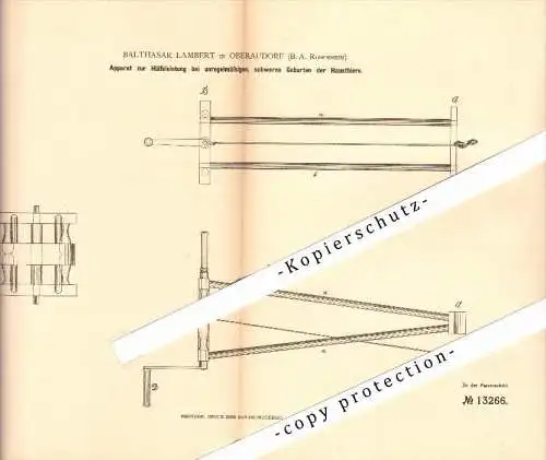 Original Patent - Balthasar Lambert in Oberaudorf b. Rosenheim , 1880 , Apparat zur Geburt von Tieren , Tierarzt  !!!