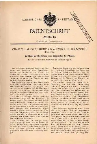 Original Patent - Ch. H. Thompson in Eastcliff , Teignmouth , 1894 , Production of plant fertilizer !!