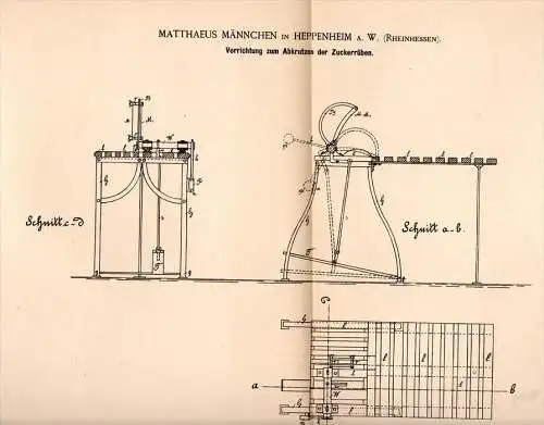 Original Patentschrift -M. Männchen in Heppenheim a.W. , Rheinhessen , 1890 , Apparat für Zuckerrüben , Landwirtschaft !