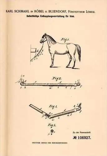 Original Patentschrift - Karl Schmahl in Süsel , 1898 , Entkuppelung für Vieh , Pferde , Tierzucht , Bujendorf !!!