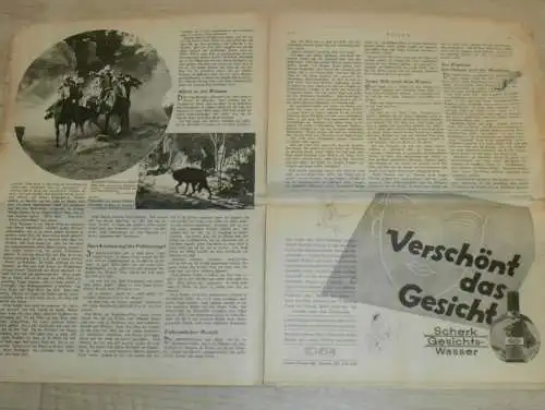 Neue Illustrierte Zeitung 9.03.1933 , Reichstag in Flammen , Fliegertod , Buffalo Bill , Prinz Eugen , Reklame / Werbung