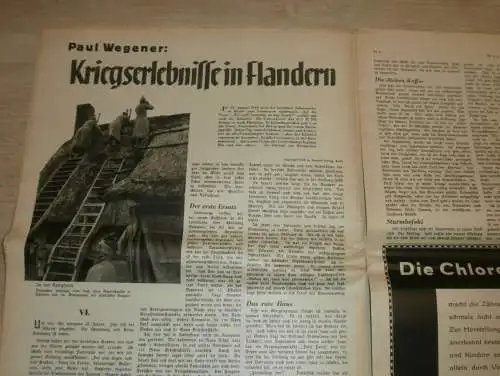 Neue Illustrierte Zeitung 12.01.1933 , Reichsgericht Leipzig , Pferdezucht , Wagner Schätze Eisenach , Reklame / Werbung