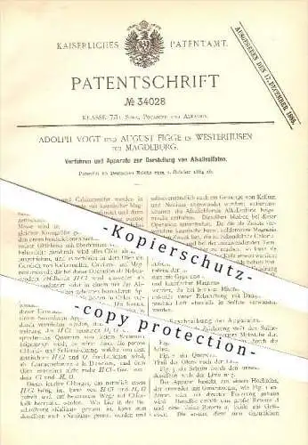 original Patent - Adolph Vogt & August Figge , Westerhusen , Magdeburg , 1884 , Darstellung von Alkalisulfaten , Alkali