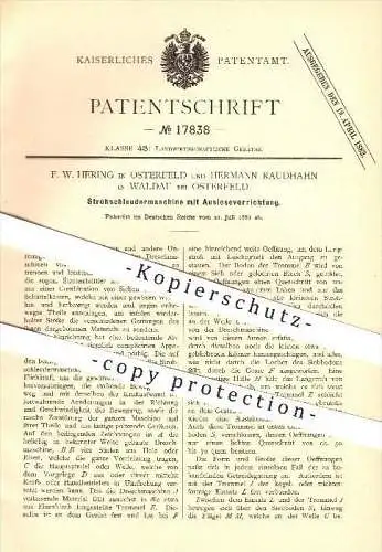 original Patent - F. W. Hering in Osterfeld u. H. Raudhahn in Waldau,1881, Strohschleudermaschine mit Auslesevorrichtung