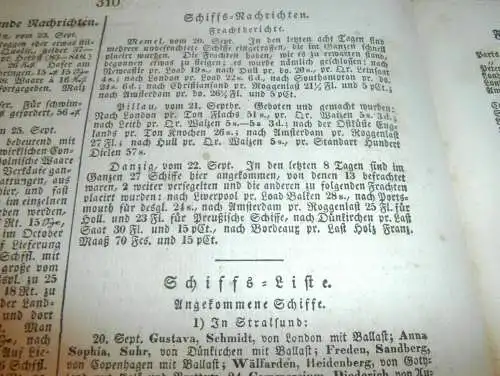 Sundine , 29.9.1837 , Zeitung für Stralsund, Vorpommern und Rügen , Mecklenburg !!!