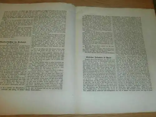 Rostocker Zeitung , 16.11.1844 , Nachrichten und Anzeigen für Rostock und Umgebung , Seehund !!!