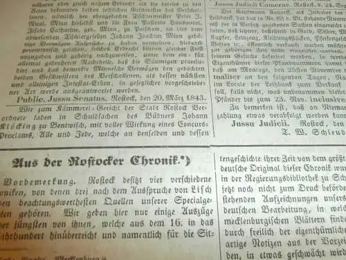 Rostocker Zeitung , 16.11.1844 , Nachrichten und Anzeigen für Rostock und Umgebung , Seehund !!!