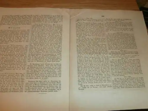 Rostocker Zeitung , 16.11.1844 , Nachrichten und Anzeigen für Rostock und Umgebung , Seehund !!!