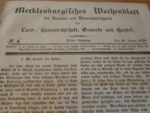 Zeitung Mecklenburg , 26.1.1838 , Schilfrohr , Reet , Reetdach , Landwirtschaft , Haushalt , Technik !!!