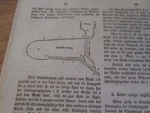 Zeitung Mecklenburg , 26.1.1838 , Schilfrohr , Reet , Reetdach , Landwirtschaft , Haushalt , Technik !!!