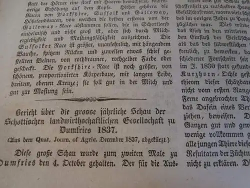 Zeitung Mecklenburg , 26.1.1838 , Schilfrohr , Reet , Reetdach , Landwirtschaft , Haushalt , Technik !!!