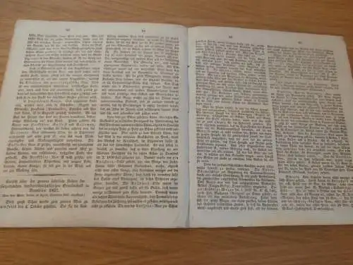 Zeitung Mecklenburg , 26.1.1838 , Schilfrohr , Reet , Reetdach , Landwirtschaft , Haushalt , Technik !!!