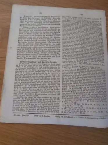 Zeitung Mecklenburg , 26.1.1838 , Schilfrohr , Reet , Reetdach , Landwirtschaft , Haushalt , Technik !!!