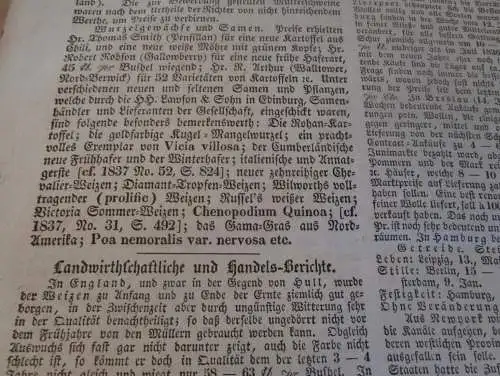 Zeitung Mecklenburg , 26.1.1838 , Schilfrohr , Reet , Reetdach , Landwirtschaft , Haushalt , Technik !!!