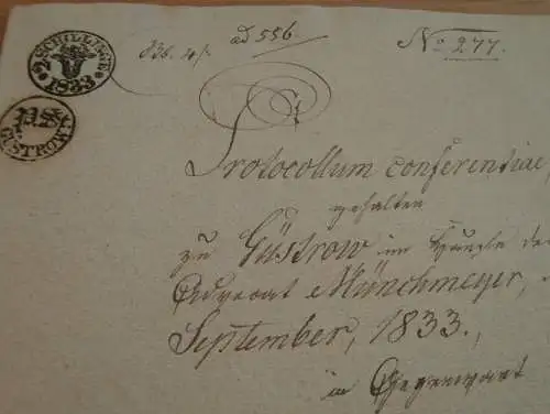 von Lepel in Dobbin , von Plessen , 1833 , Dokument 10 Seiten , Münchmeyer , Güstrow , Neustrelitz Adel Mecklenburg !!!