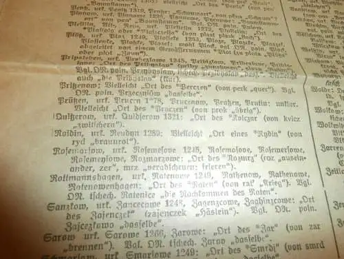 Demminer Zeitung 31.Dezember 1931 , slavische Ortsnamen im Kreis Demmin , Slaven , Seidenbau , Pommern !!!