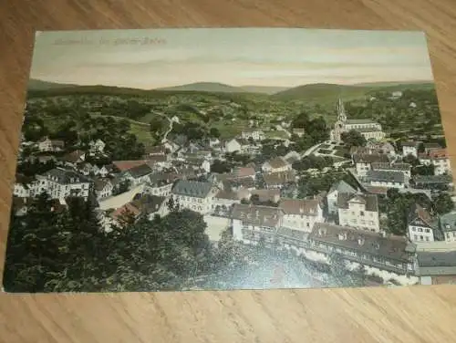 alte AK - Lichtenthal b. Baden-Baden  , ca. 1905 , Panorama , Ansichtskarte !!